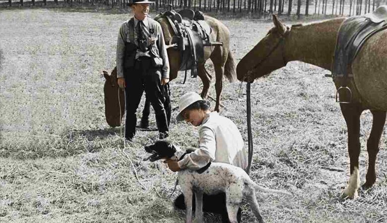 Old Photo Restoration